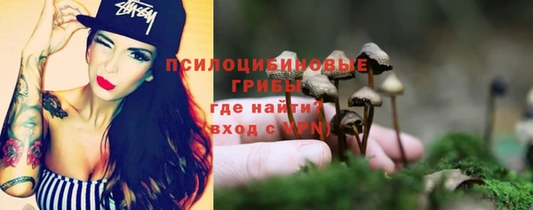 дмт Богородск