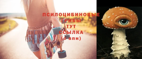 твердый Богданович