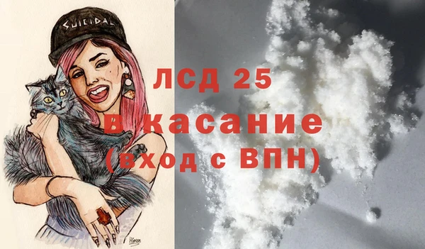 дмт Богородск