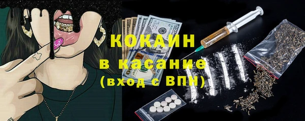 твердый Богданович