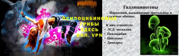 дмт Богородск