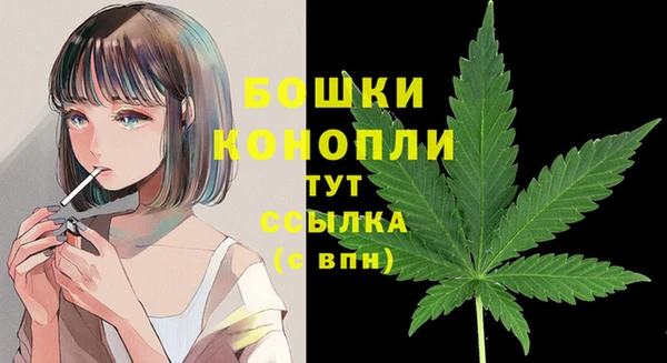 COCAINE Богородицк