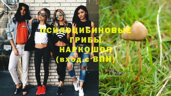 COCAINE Богородицк