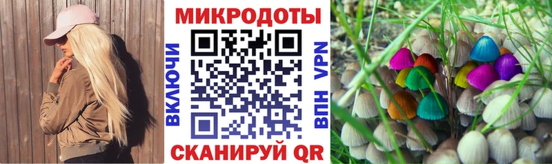 ОМГ ОМГ онион  Наволоки  Псилоцибиновые грибы прущие грибы  продажа наркотиков 